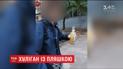 Парень бросил в припаркованное авто бутылку с пивом и похвастался этим в Instagram
