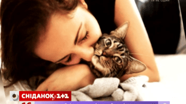 Коты переносят 18 видов аллергенов