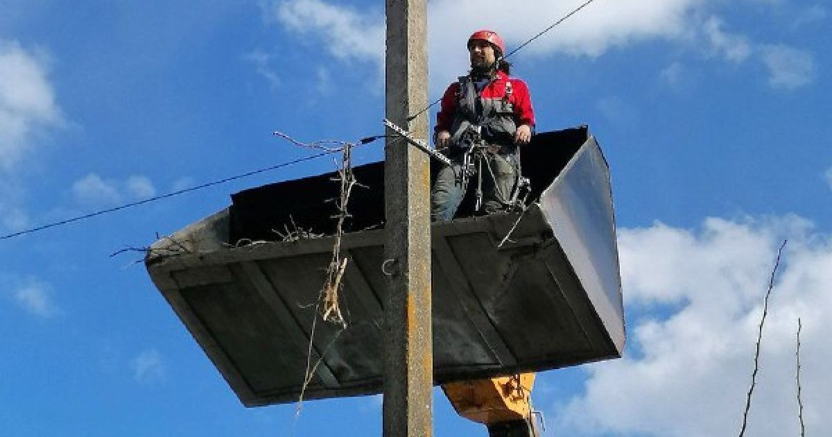 У Київській області місцеві жителі допомогли лелеці полагодити гніздо
