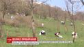 Больше тысячи одесситов устроили уборку морского побережья