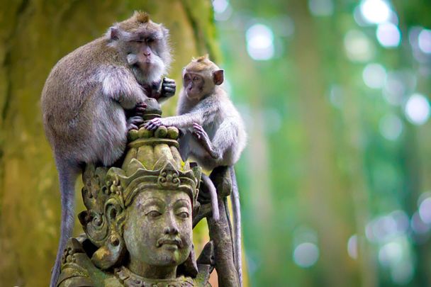  / © mytravelbook.org