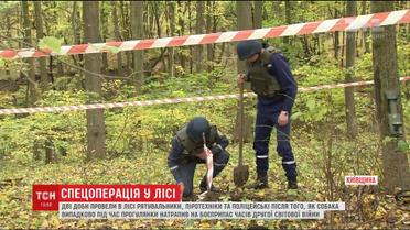 Опасный лес: на Киевщине собака на прогулке упала в яму с реактивным снарядом