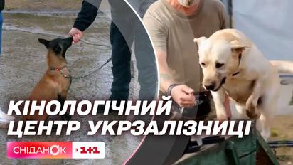 Как воспитывают четвероногих охранников: кинологический центр Укрзализныци
