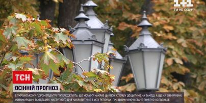 Погода в Украине: уже сегодня будет дождить в западных регионах