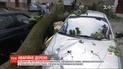 "Ефект доміно": у Рівному гілляка звалила стовп та потрощила 4 автомобілі