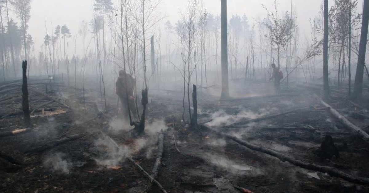 Рятувальники приборкали велику пожежу у заповіднику на Житомирщині