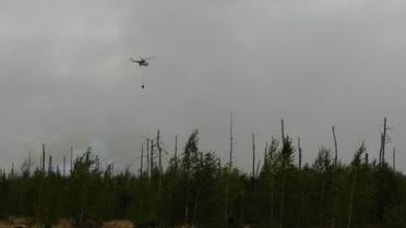 Пожежа у Поліському заповіднику_5 / © ДСНС