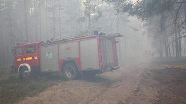 Пожежа у Поліському заповіднику_8 / © ДСНС