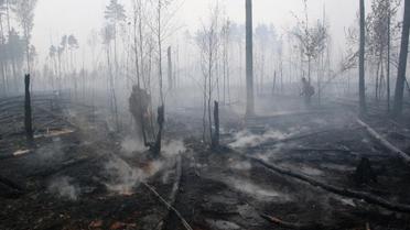 Пожежа у Поліському заповіднику_10 / © ДСНС
