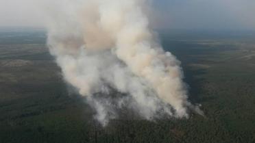 Пожежа у Поліському заповіднику_1 / © ДСНС