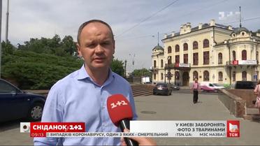 Коли з Хрещатика виженуть експлуататорів тварин