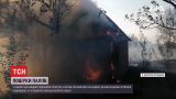 У Дніпропетровській області невідомі підпалили сухостій та спалили дачу