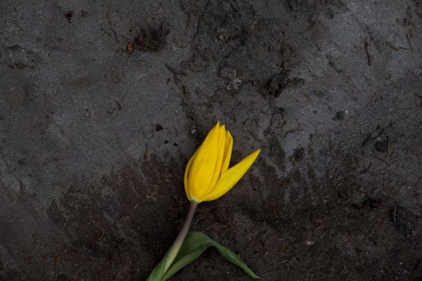 Україну накривають атмосферні фронти: що буде з погодою