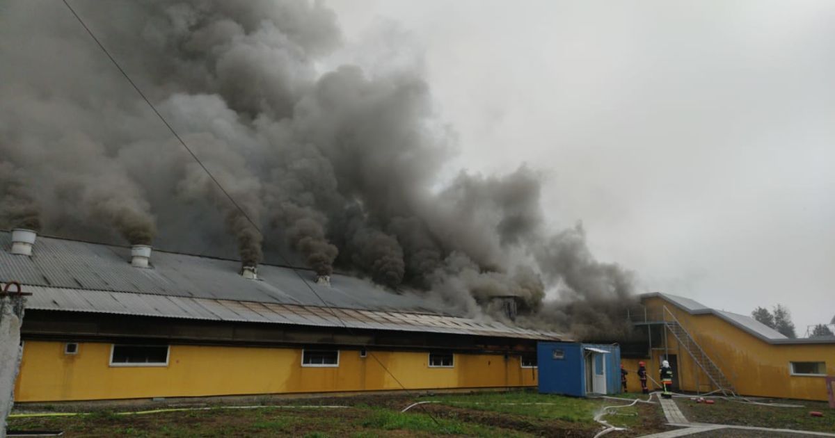 Пожежа в Івано-Франківську_2 / © Facebook/Управление ДСНС Украины в Ивано-Франковской области