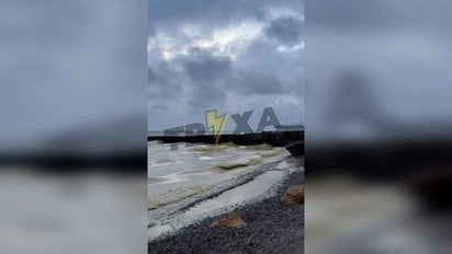 В Одесі море вкрилося плямами, є загиблі птахи