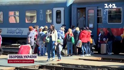 Польша изменила правила: новый список документов для ввоза животных