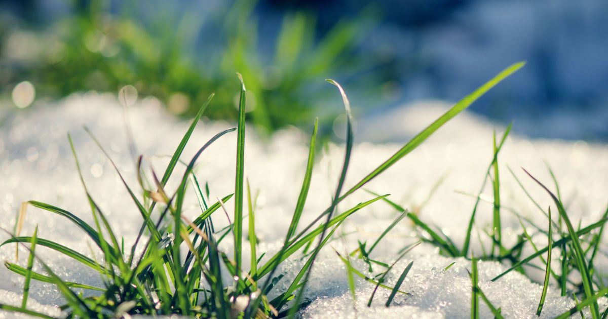 Солнечно и тепло: жителей каких регионов Украины порадует весенняя погода 20 февраля