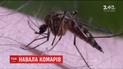 Из-за теплой погоды в Украине увеличилось количество комаров