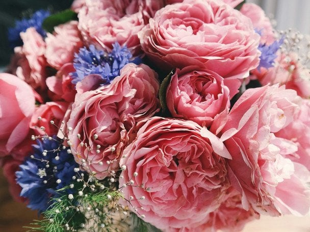 День ангела 17 січня — душевні привітання в прозі / © unsplash.com