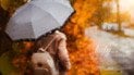 Гороскоп на 12 листопада для всіх знаків Зодіак