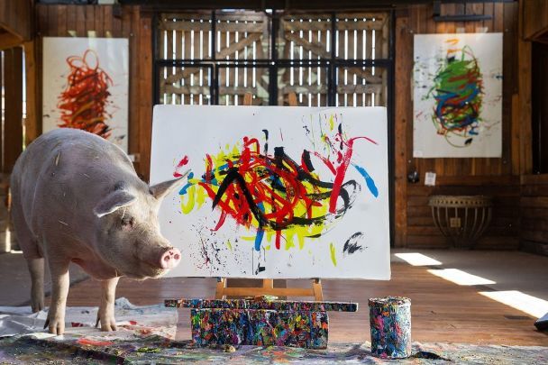 Пігкассо / Фото: instagram.com/pigcassohoghero