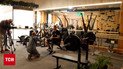 Реабилитация самой жизнью: В столице открыли новый хаб для ветеранов