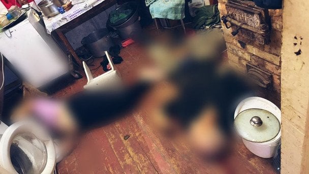 Трагедія на Київщині / © Поліція Київської області