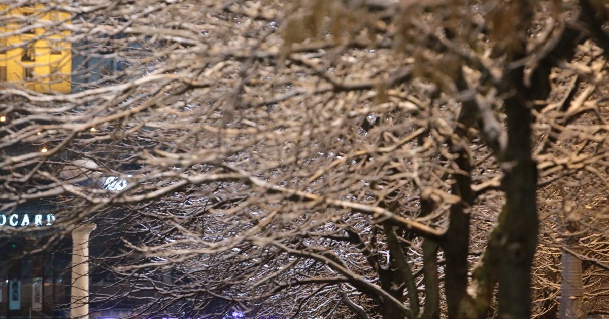 На заході - хуртовини, на півдні - дощ: прогноз погоди в Україні на п'ятницю, 3 грудня