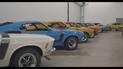 В США нашли эксклюзивную коллекцию с сотнями редких Ford Mustang и Shelby Cobra: видео