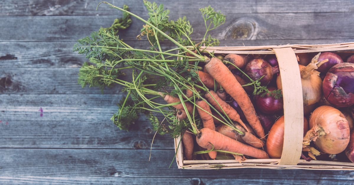 Лунный посевной календарь на август 2024