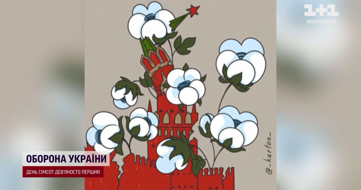 "Бавовна"