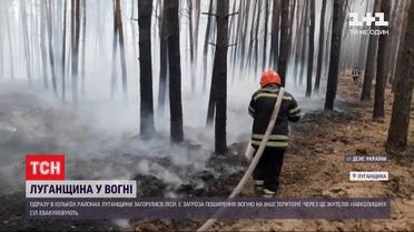 У Луганській області одразу у кількох районах горять ліси