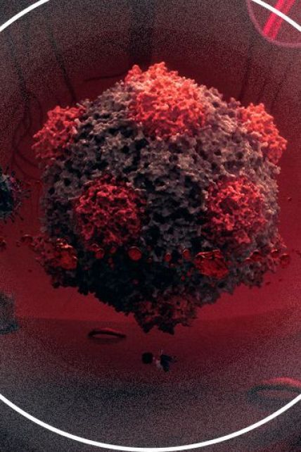 "Друзья, вы — не бессмертные": врачи рассказали о стремительном инфицировании коронавирусом и сбое медицинской системы