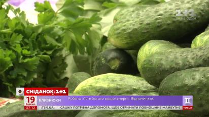 В Україні дешевшають огірки - Економічні новини