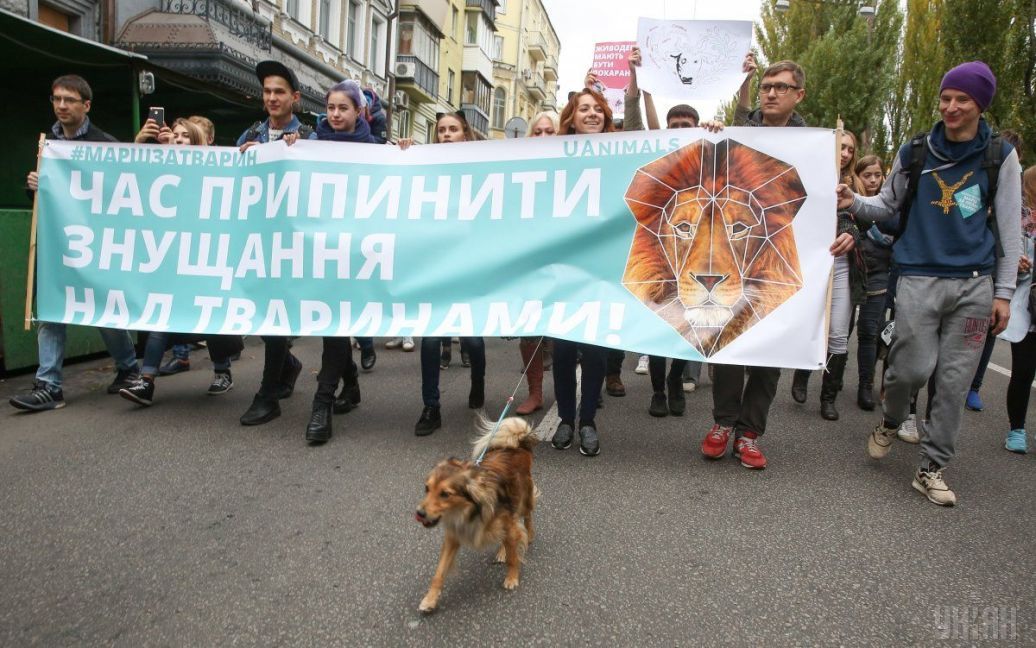 Марш за права тварин у Києві / © УНІАН