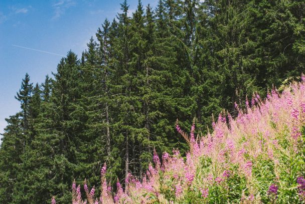 22 июня жаркий день до сильных зимних морозов / © Unsplash
