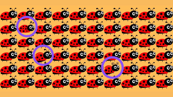 відповідь на тест