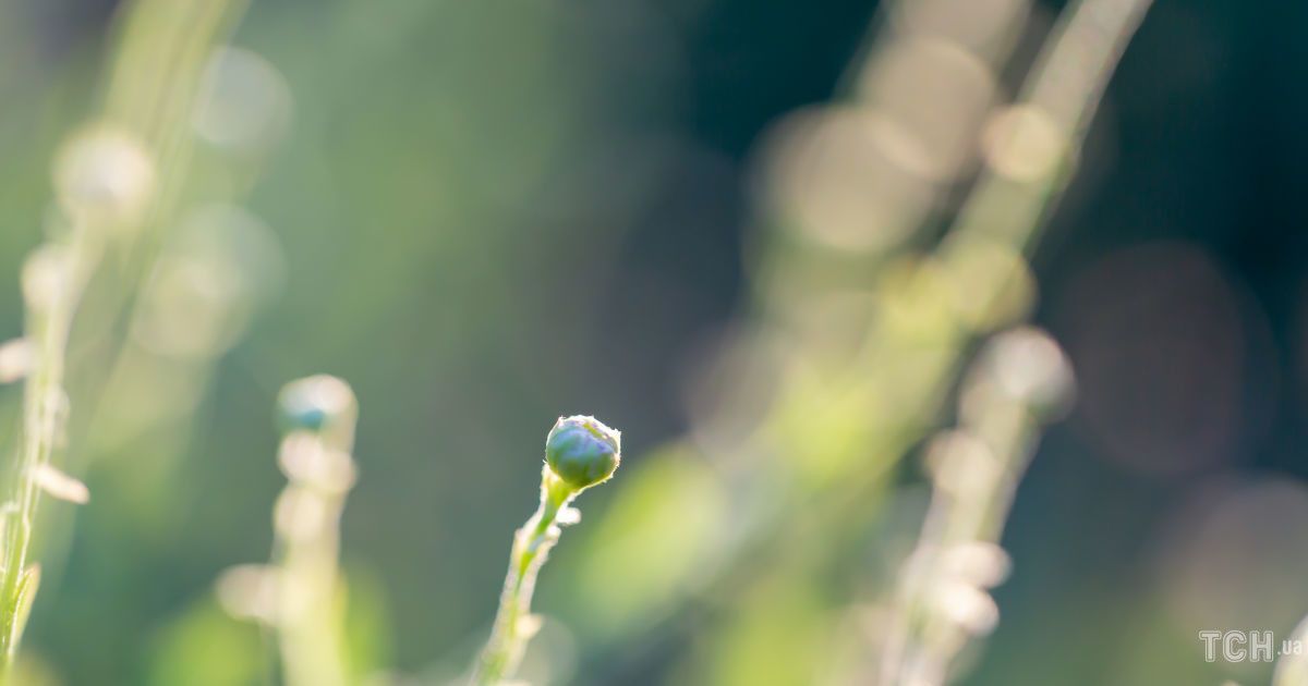 Гороскоп на 16 вересня для всіх знаків зодіаку: день вирішення фінансових питань
