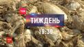 Хто змусив фермерів викинути на смітники врожай ранніх овочів – дивіться в ТСН.Тиждень