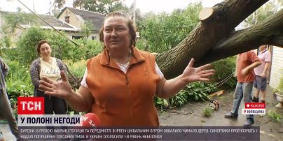 Новый апокалипсис в Ирпене: в городе массово падали деревья, ливень затопил улицы