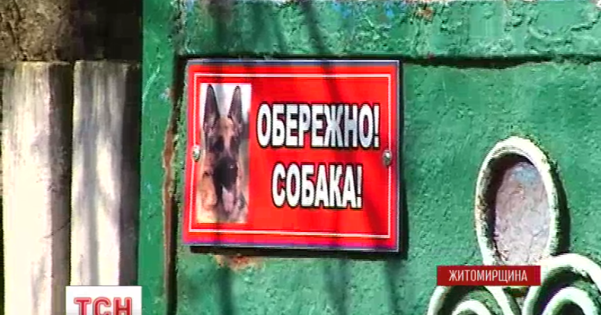 На Житомирщине взбешенный пес насмерть загрыз 1,5-летнюю девочку