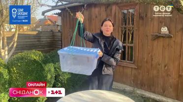 Як зробити переноску для тварин своїми руками