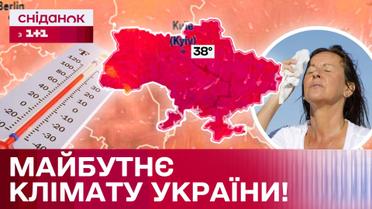 Дальше – еще жарче! Какое будущее украинского климата?