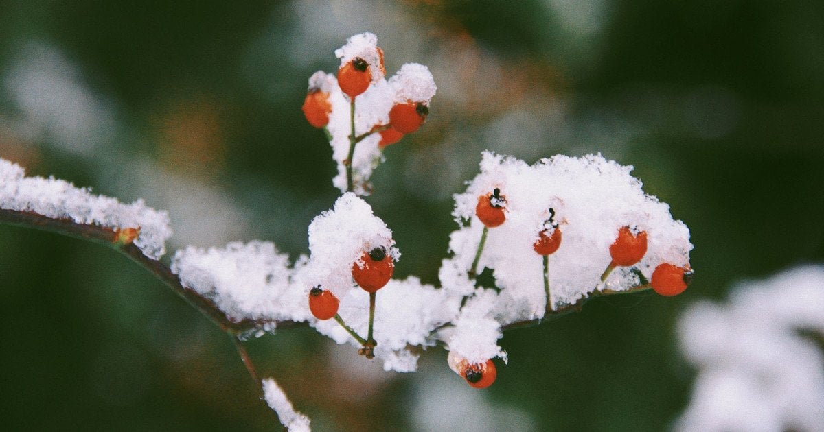 Яке сьогодні, 20 грудня, день ангела