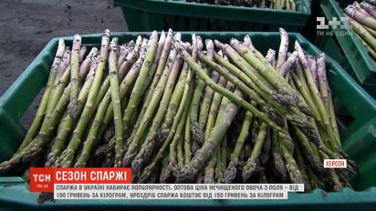 Спаржа набирає популярності в Україні: скільки коштує у різних регіонах та як приготувати