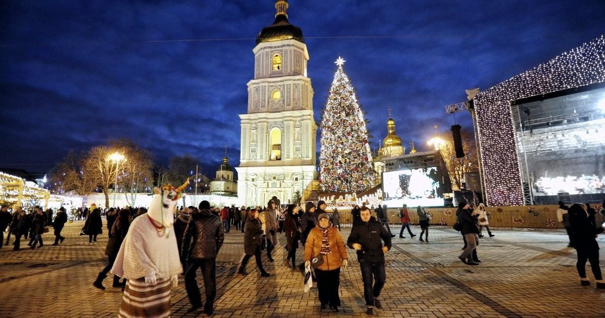 У Києві на Софійську площу привезли головну ялинку країни