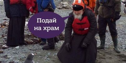 Кирилл и его паства. Юзеры смеются над прогулкой патриарха РПЦ с пингвинами