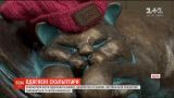 Скульптуры кошек в Одессе после первого снега одели в теплую одежду
