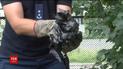 У Львові надзвичайники врятували маленьке кошеня