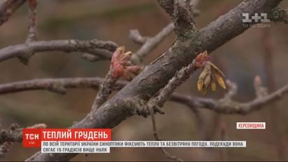 Подарок природы или климатическая опасность: необычно теплая зима царит в Украине